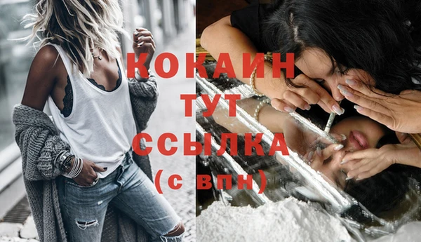 spice Горнозаводск