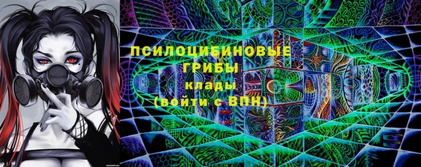 spice Горнозаводск